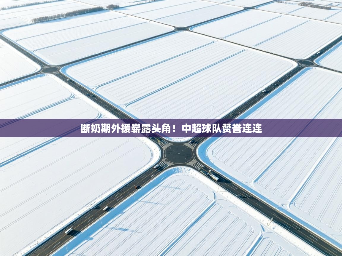 开云体育客服在线咨询-断奶期外援崭露头角！中超球队赞誉连连  第2张