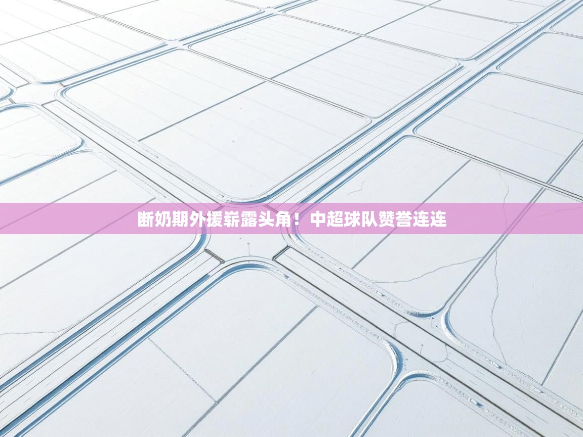 开云体育客服在线咨询-断奶期外援崭露头角！中超球队赞誉连连  第3张