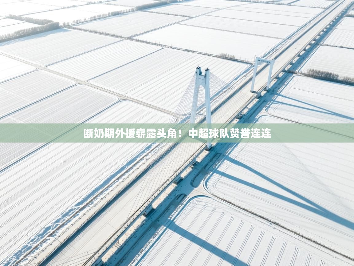 开云体育客服在线咨询-断奶期外援崭露头角！中超球队赞誉连连  第4张