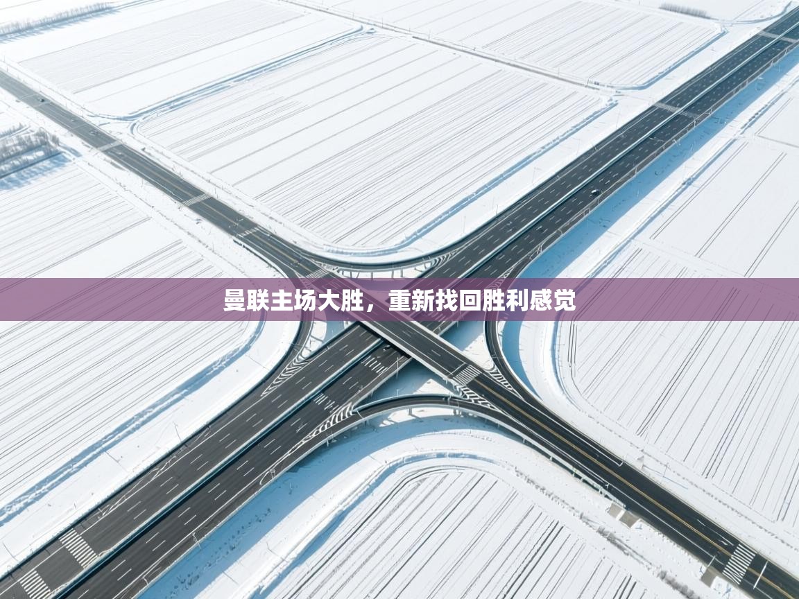 开云体育PC版网页版登录-曼联主场大胜，重新找回胜利感觉  第1张