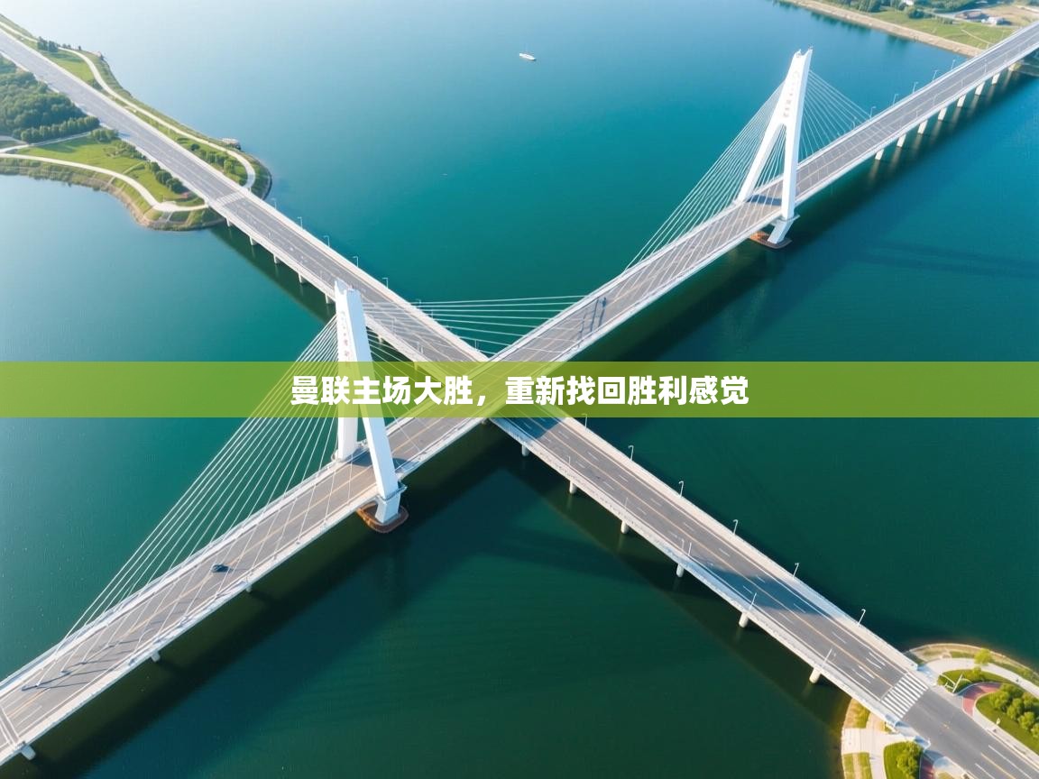 开云体育PC版网页版登录-曼联主场大胜，重新找回胜利感觉  第2张