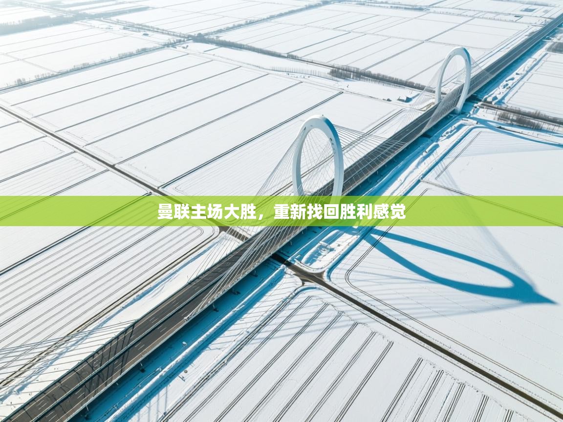 开云体育PC版网页版登录-曼联主场大胜，重新找回胜利感觉  第4张