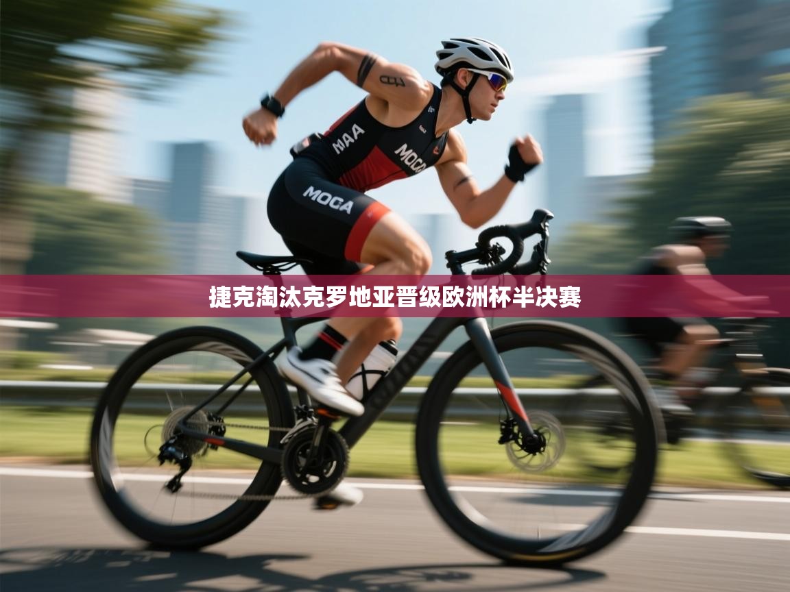 开云网页版-捷克淘汰克罗地亚晋级欧洲杯半决赛 第4张